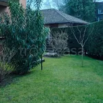 Rent 3 bedroom apartment of 110 m² in Bolzano