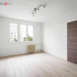 Rent 2 bedroom apartment of 36 m² in Plzeň