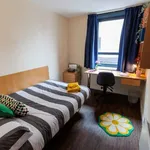 Rent 1 bedroom student apartment in Sheffield