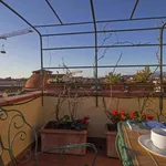 Rent 4 bedroom apartment of 50 m² in Florence