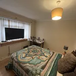 Rent 4 bedroom house in Worcester