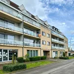 Huur 1 slaapkamer appartement in Willebroek