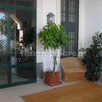 4-room flat excellent condition, ground floor, Centro, Aci Castello