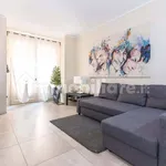 Rent 3 bedroom apartment of 65 m² in Turin