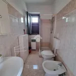 Rent 2 bedroom apartment of 40 m² in Roma