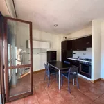 Rent 1 bedroom apartment of 40 m² in Mondovì