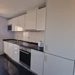 Rent 1 bedroom apartment of 51 m² in Lisbon