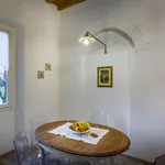 Rent 1 bedroom apartment in Florence