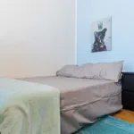 Rent a room in turin