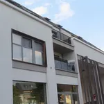 Rent 2 bedroom apartment of 72 m² in WESTERLO