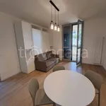 Rent 1 bedroom apartment of 58 m² in Castellanza