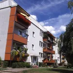 Rent 4 bedroom apartment of 60 m² in Dortmund