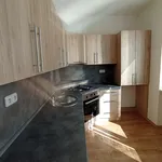 Rent 1 bedroom apartment in Sokolov