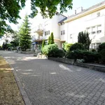 Rent 3 bedroom apartment of 98 m² in Szczecin