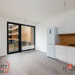 Rent 1 bedroom apartment in Plzeň