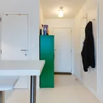 Huur 1 slaapkamer appartement van 23 m² in Leuven