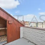 Pronajměte si 4 ložnic/e byt o rozloze 250 m² v Prague