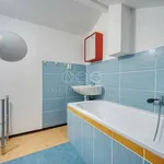 Rent 1 bedroom apartment in Plzeň