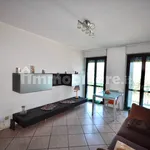 Rent 3 bedroom apartment of 70 m² in Novara