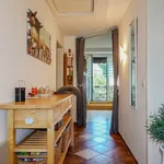 Rent 2 bedroom apartment of 40 m² in Hagen