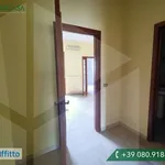 Rent 3 bedroom apartment of 85 m² in Bari