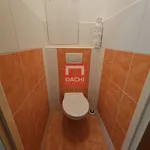 Nabízíme k pronájmu byt 2+1, 50 m² v obci Litovel