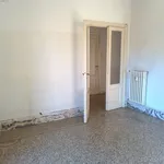 Rent 3 bedroom apartment of 85 m² in Rome