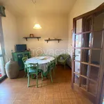 Rent 5 bedroom apartment of 100 m² in Lucca