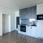 Rent 2 bedroom apartment in Pilsen