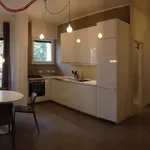 Rent 1 bedroom apartment in Turin