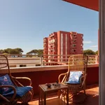 Rent 3 bedroom apartment of 65 m² in Follonica