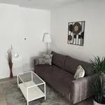 Rent 1 bedroom apartment of 41 m² in Grad Rijeka