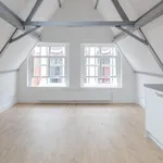 Huur 1 slaapkamer appartement van 45 m² in Leiden