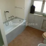 Rent 3 bedroom apartment of 80 m² in Turin