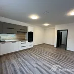 Pronájem bytu 1+kk 38m²