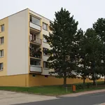 Pronajměte si 3 ložnic/e byt o rozloze 65 m² v Čížkovice