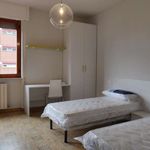 Rent a room in Perugia