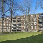 Rent 3 bedroom apartment of 75 m² in Dortmund