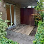 Rent 1 bedroom apartment in Hoogstraten