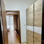 Rent 1 bedroom apartment of 33 m² in Praha