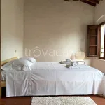 Rent 3 bedroom apartment of 65 m² in Terricciola