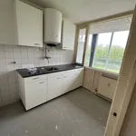 Huur 3 slaapkamer appartement van 60 m² in Spijkenisse