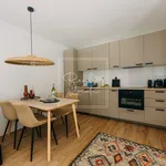 Rent 1 bedroom apartment of 33 m² in Prague