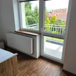 Rent 1 bedroom apartment in Olomouc