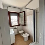 Rent 3 bedroom apartment of 80 m² in Pomezia