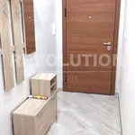 Rent 2 bedroom apartment of 80 m² in Каменица 2