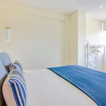 Alugar 1 quarto apartamento em Porto