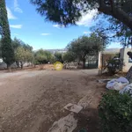 Rent 3 bedroom house of 107 m² in Νησί