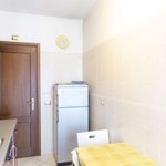 Rent a room in Roma