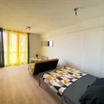 Rent 1 bedroom apartment of 25 m² in combaillaux